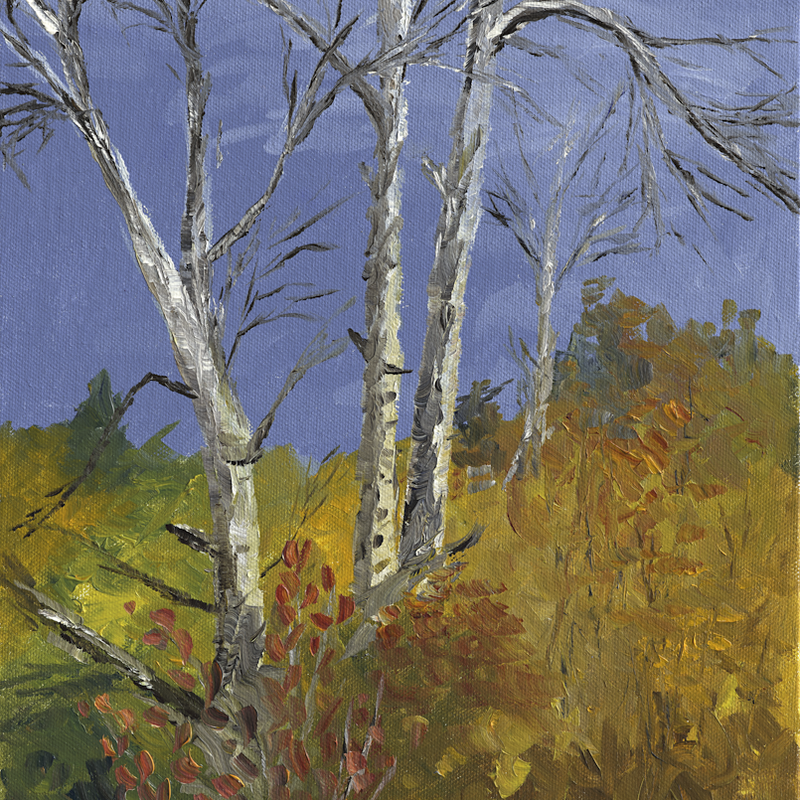 "The Passage"<br/>
11x14 Oil<br/>
March 19, 2023